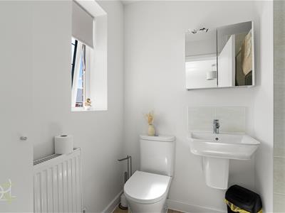 Picture 11